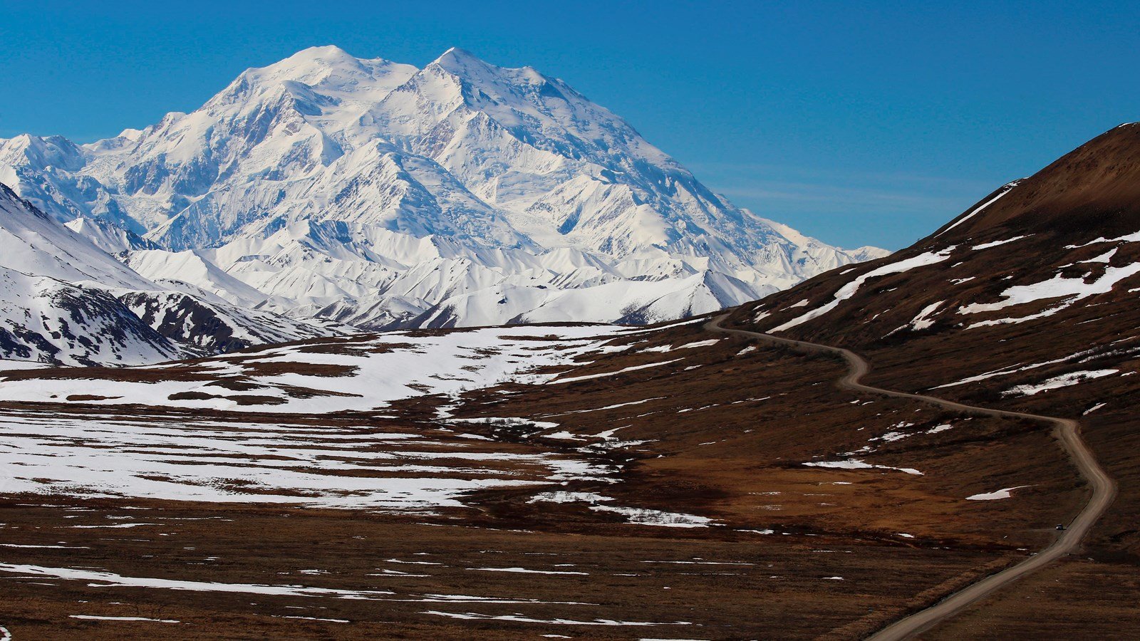 Denali rising above the Alaska Range, viewed from Stony Hill in Denali National Park